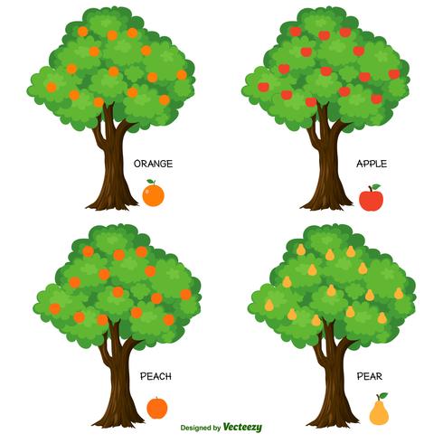 Cute Vector Fruit Trees Collection