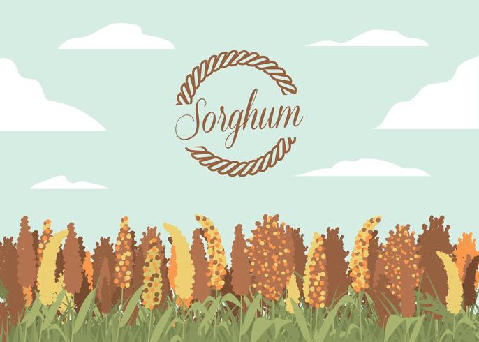 Sorghum Field Illustration Vector