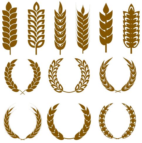 Vector Wheat Ears Icon Set