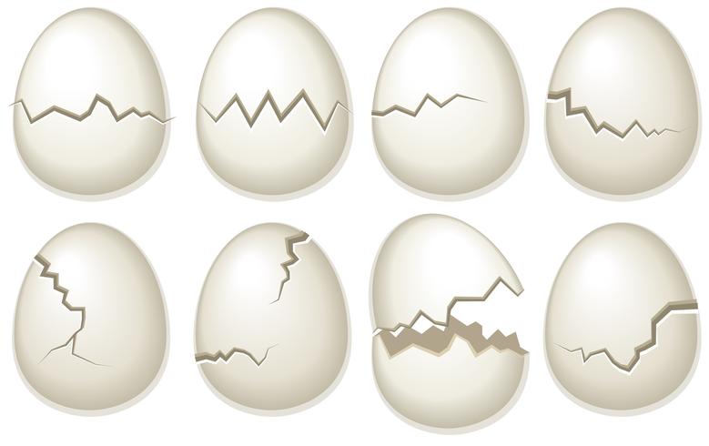 Vector Set Of Broken Egg Shells