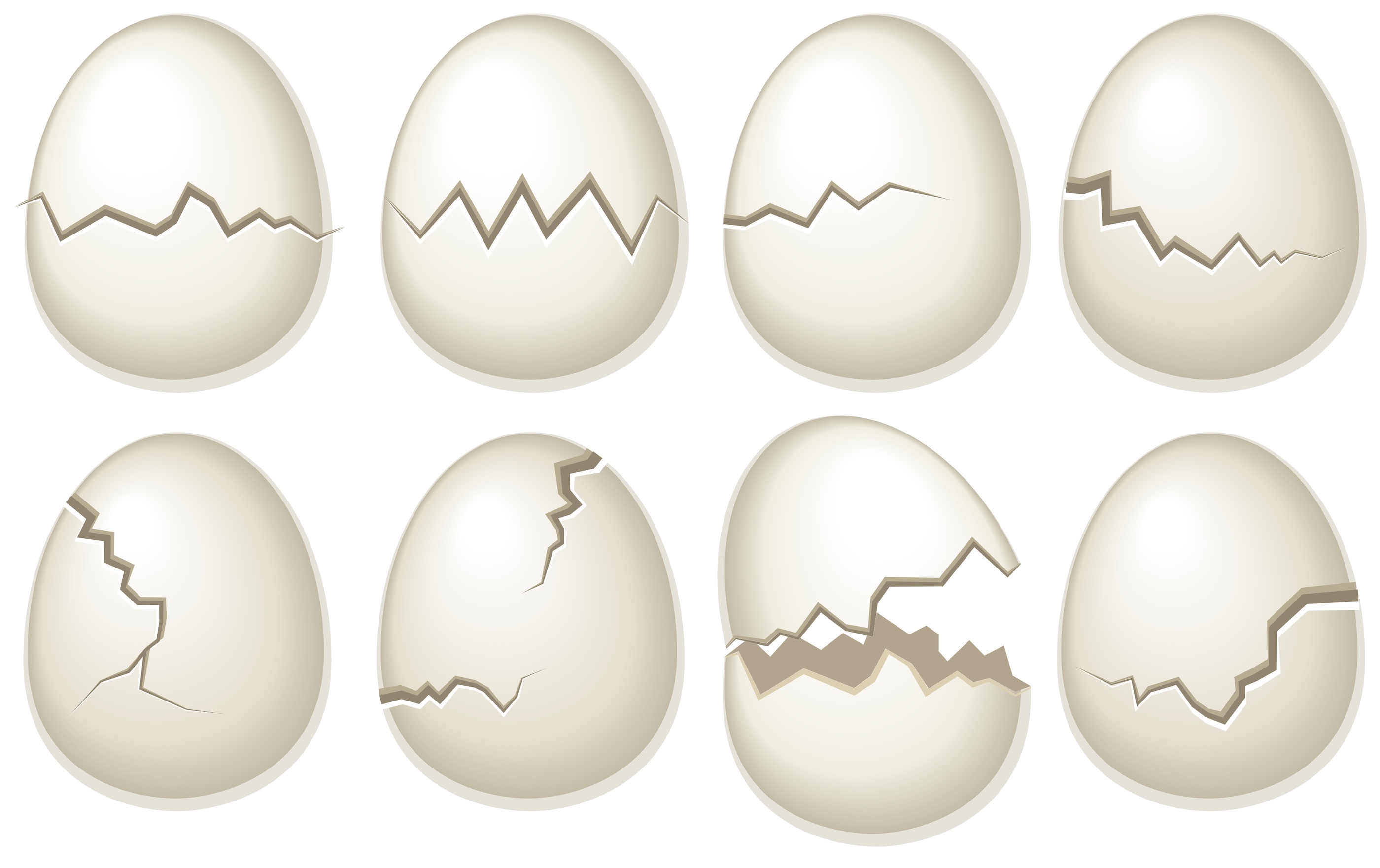 Egg Shell Clip Art