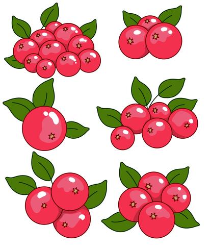 Vector Cranberry Icon Set