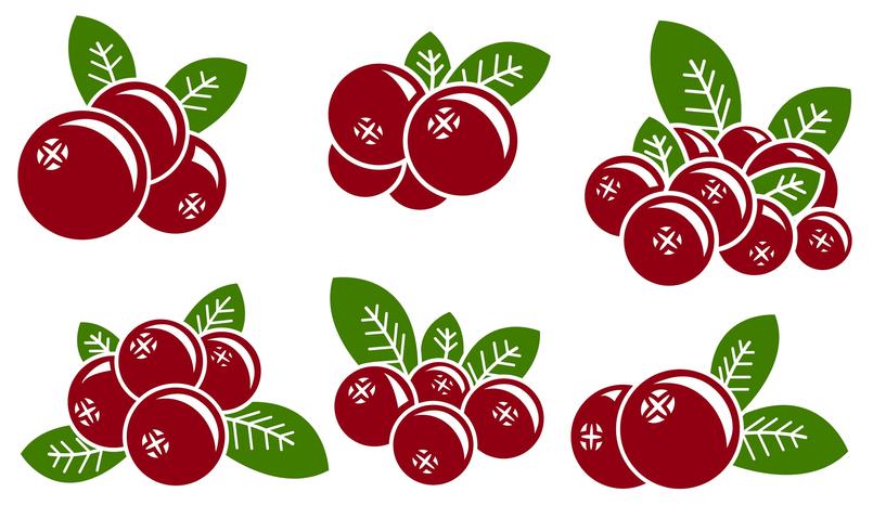 Vector Cranberry Icon Set