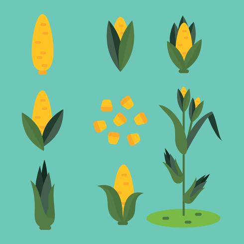 Super Colorful Icons Related To Corns vector