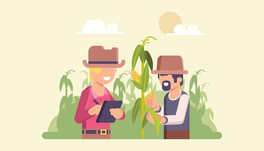 Los agricultores controlan la calidad del maíz vector