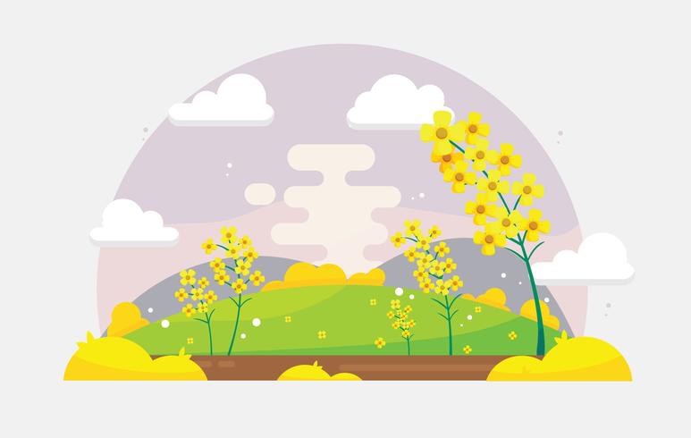 Free Canola Flower Field Vector