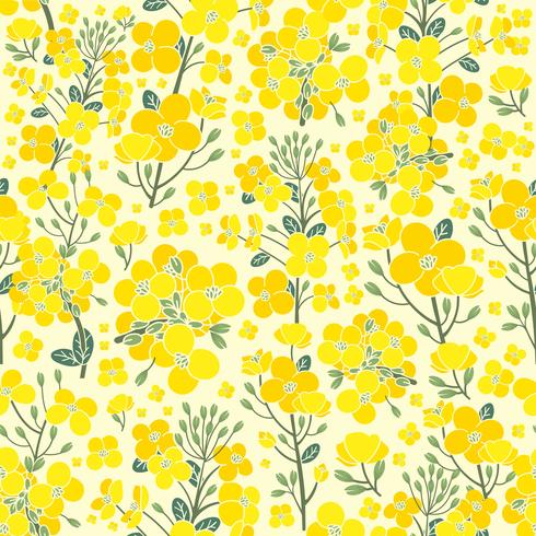 Canola Pattern vector