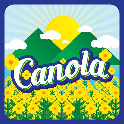 Fondo de Canola Vector Illustration