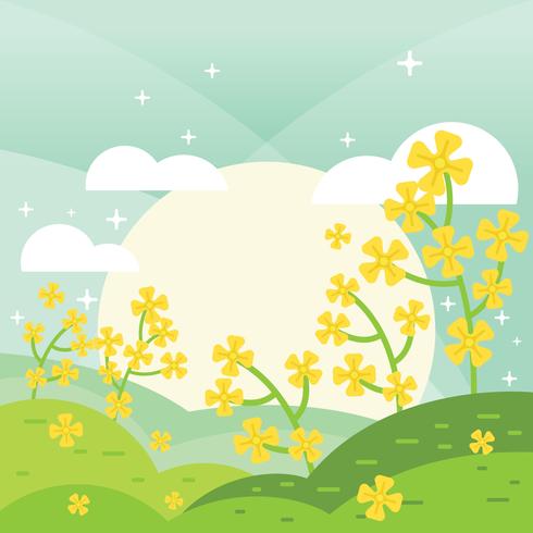 Flat Canola Field vector