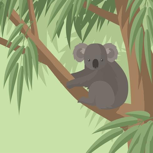 Koala en vector libre de árbol de goma