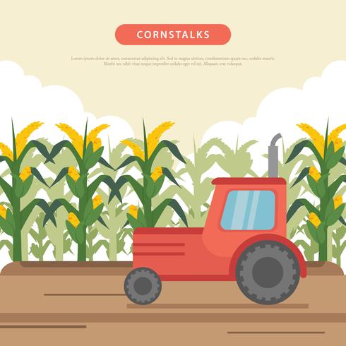 Ilustración del campo de maíz vector