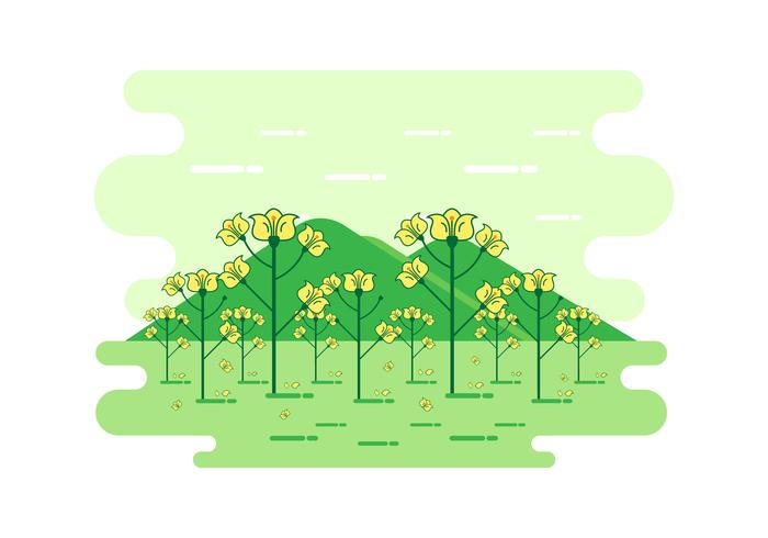 Cartoon Canola Landscape Vector 