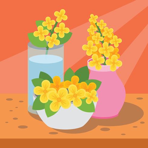 Canola Vector Illustration