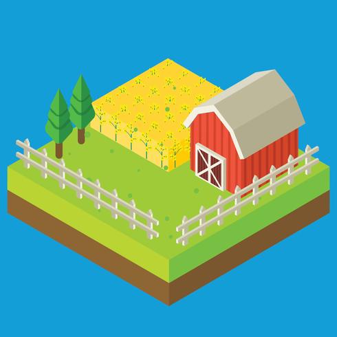 Canola Isometric Farm Field Vector