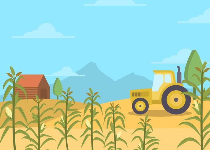 Flat Corn Field Vector Background