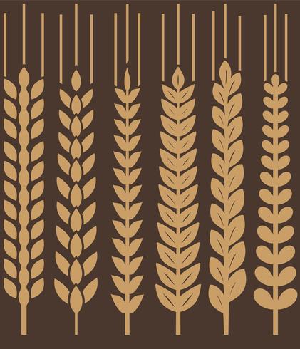 Vector Wheat Ears Icon Set