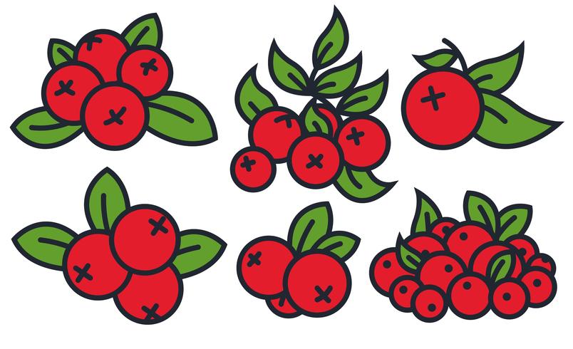 Vector Cranberry Icon Set