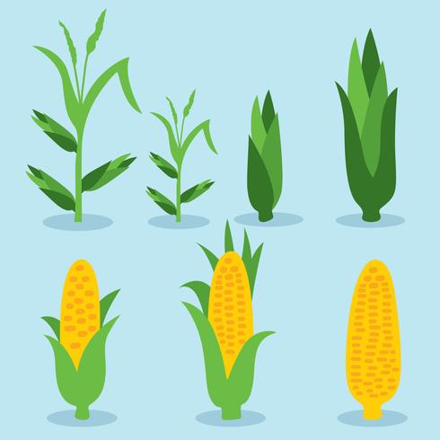 Corn Element On Blue Vector