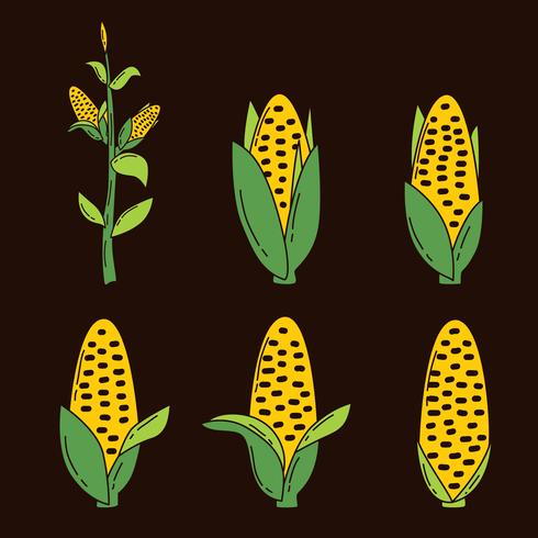 Corn Collection Vector