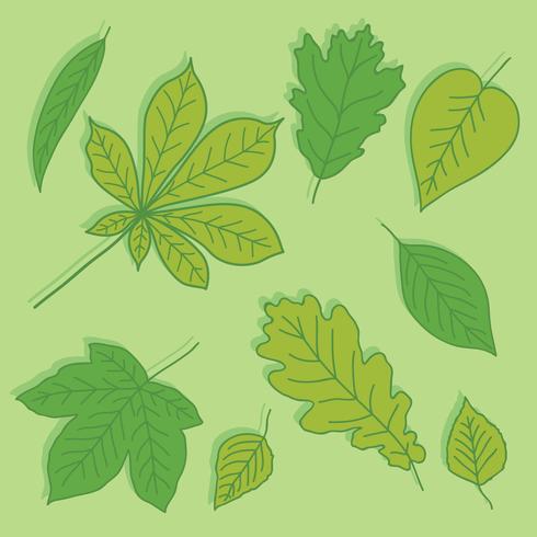 Green Leaves Collection Vector