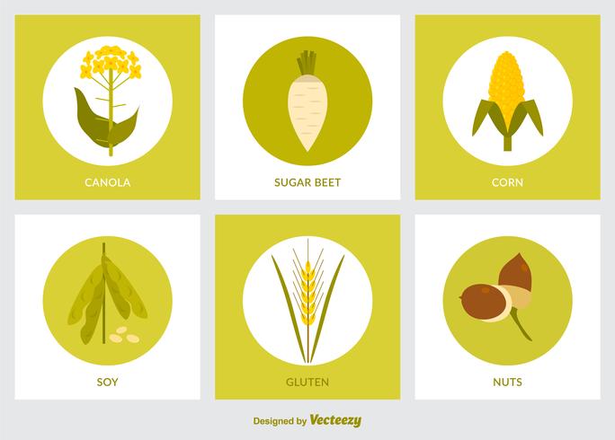 conjunto de vectores de icono de producto plano gmo