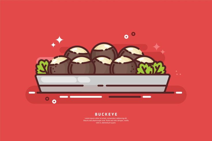 Buckeye Platter Illustration vector