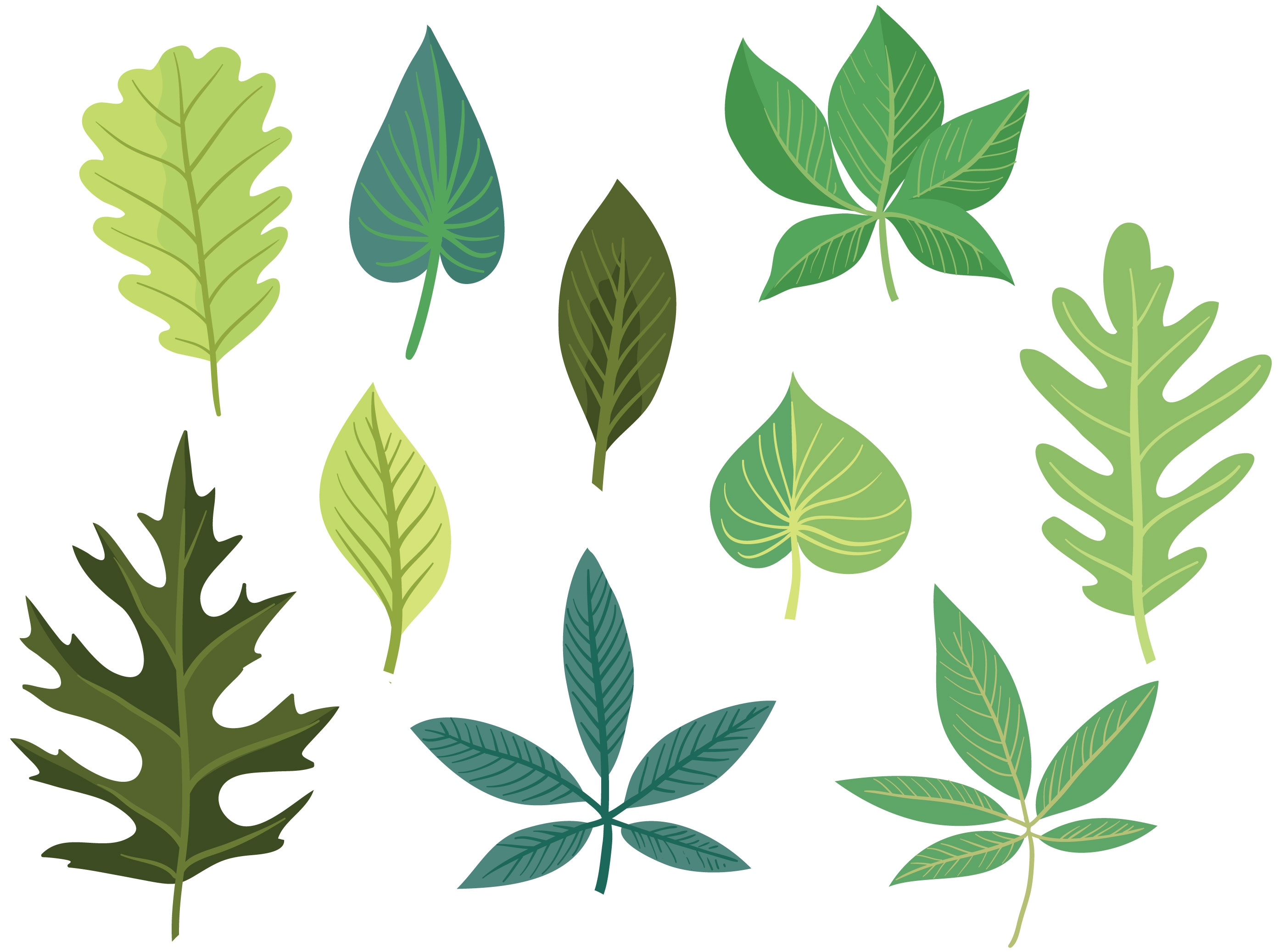 Free Green Leaves Vectors 170790 Vector Art at Vecteezy