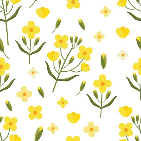 Canola Seamless Pattern Vector