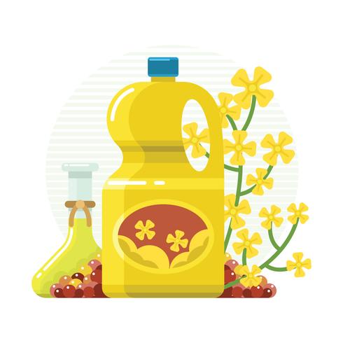 Canola Oil Vector 