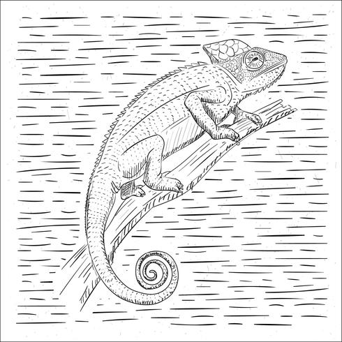 Free Hand Drawn Vector Cameleon Illustration