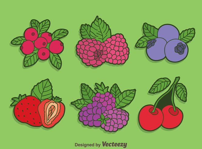 vector de colección de frutas bayas brillantes