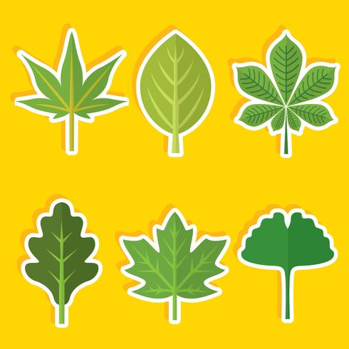 Flat Tree Green Leaves Vector