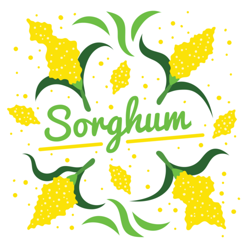 Sorghum Vector