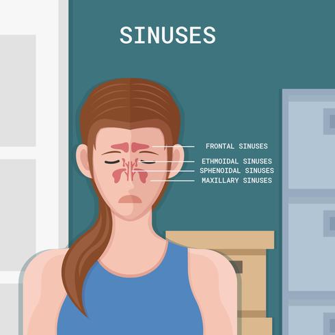 Woman Sinus Vector Illustration