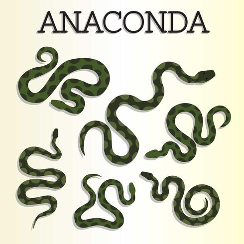 Free Anaconda Vector