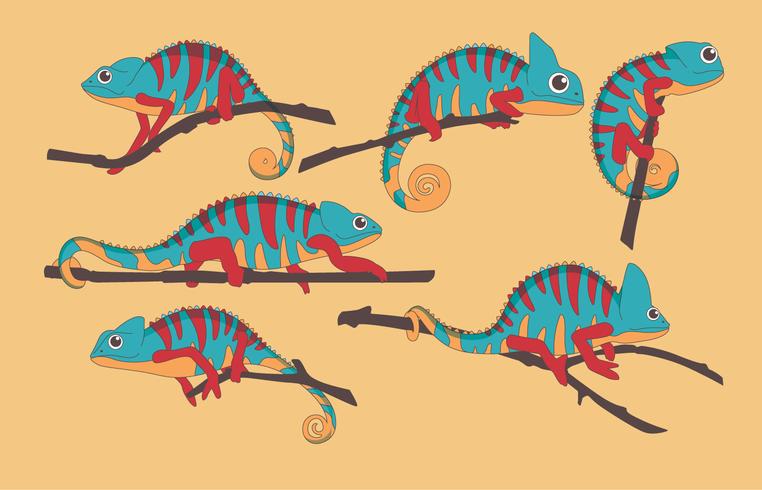 Chameleon Vector