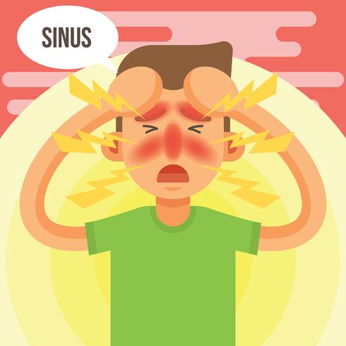 Sinus Vector Illustration