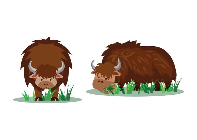 Cartoon Yak vector