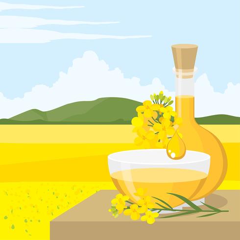 Producto libre de aceite de canola vector