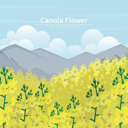 Free Canola Field Illstration vector