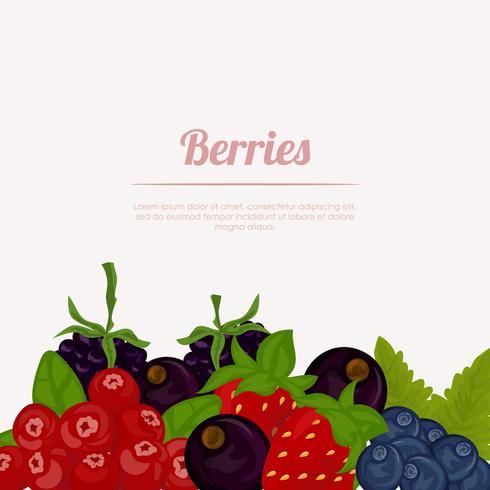 Conjunto de frutas de bayas vector