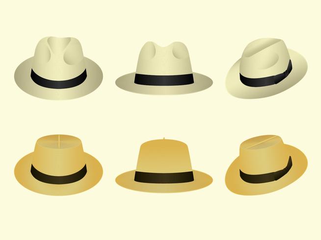 Panama Hat vector