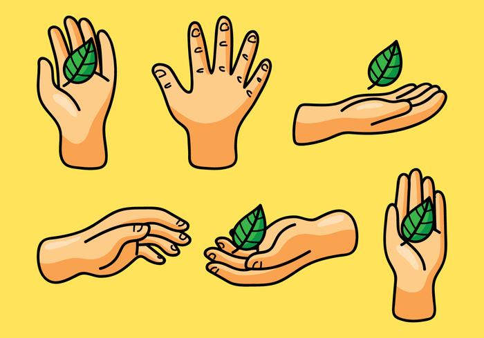 Hands With Herbal Leaf vector