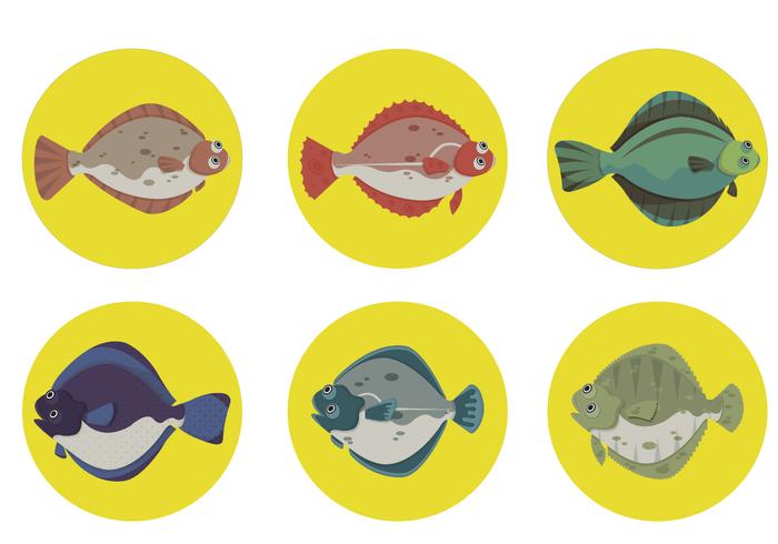 Flounder Fish With Circle Background Vector Collection