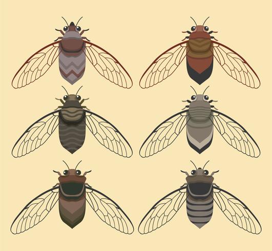 Cicada Bug With Yellow Background Vector Collection