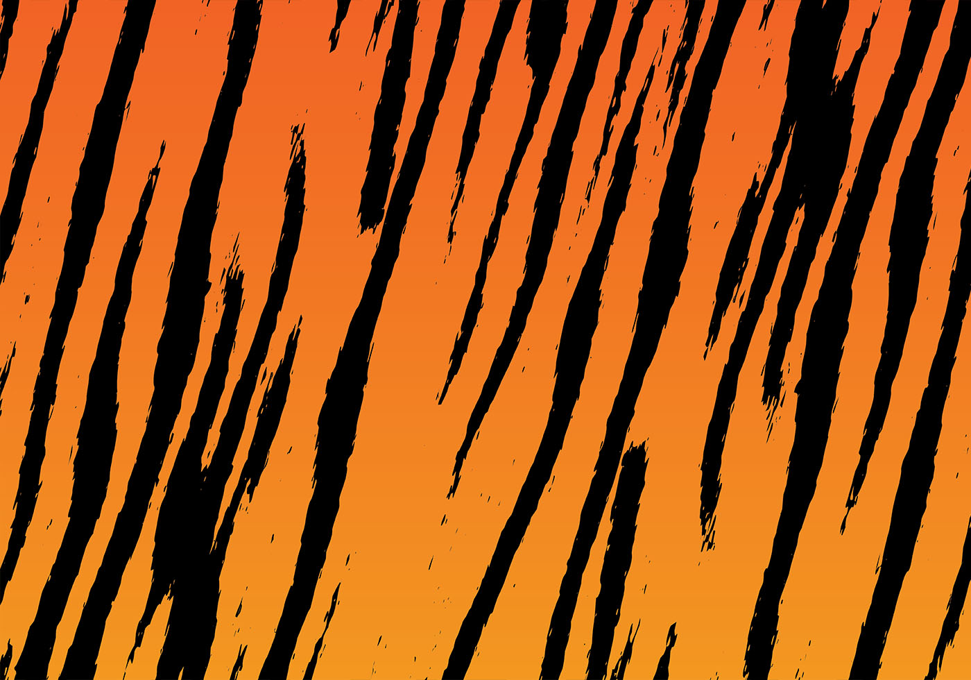 Tiger Stripe Patterns