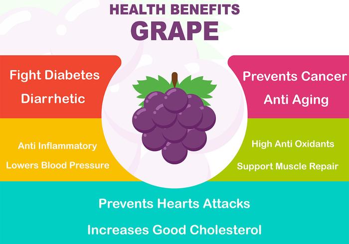 Infografía de beneficios de la fruta de la uva vector