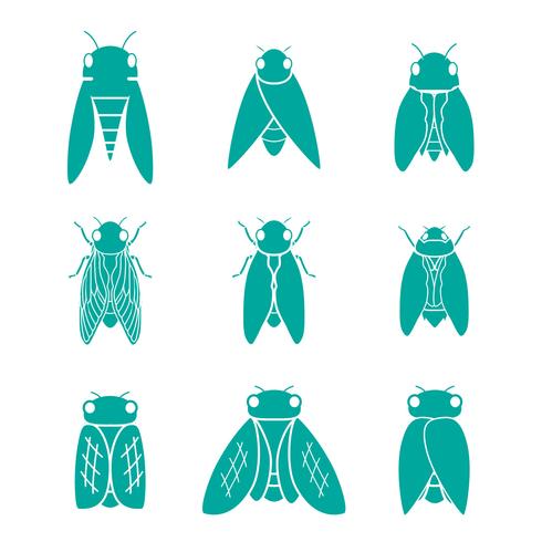 Cicada icon set vector