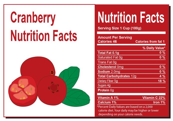 Cranberries Nutrition Fact vector