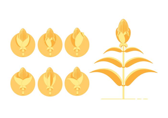 Yellow Corn Stalks Icon vector